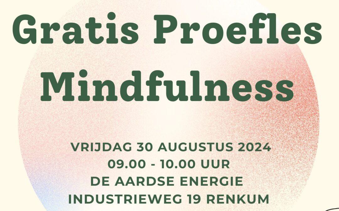 Gratis proefles Mindfulness 30-8-2024